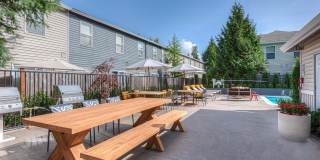 Carroll's Creek Landing Gallery 23