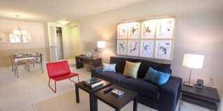 TGM Sudley Crossing Gallery 4