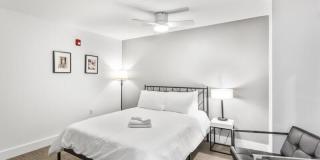 Netherland Gallery 12