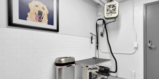 Liv on Steele Gallery 28