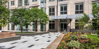 Elevate Gallery 23