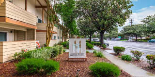 Ladera Woods Gallery 12