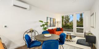 Ellis at Bel-Red Gallery 5