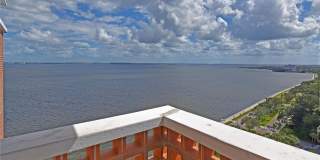 4015 BAYSHORE BLVD, #17F, TAMPA, FL 33611 Gallery 3