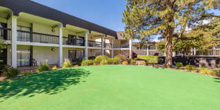 Alta Living Gallery 17