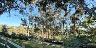 Scenic 4 Bedroom, 2.5 Bathroom Condo Gallery 23