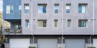 249 Steely Gallery 32