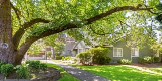 Silver Oak Gallery 12