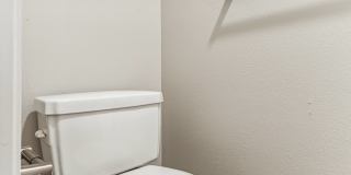 Park at Palmer Gallery 81