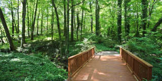FURNISHED: Modern 6 Bdrm (7 beds) Home with BBQ, Foosball, HotTub & Private Pool - Close To Airport&Downtown Gallery 52