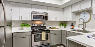 Avana Gilbert Gallery 2