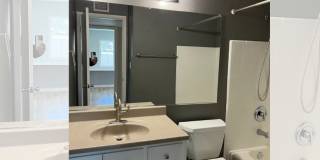 7229 N 41st Dr Gallery 11