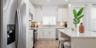 Alta Citron Gallery 71