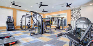 Sendero Trace Gallery 12