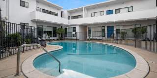 Live in one of the best locations in Los Angeles - Hollywood Hills Gallery 14