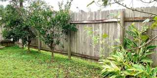 Spacious 3 Bedroom, 2 Bath Home Close to Restaurants & Shopping Centers Gallery 18