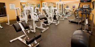 Thornhill Park Gallery 12