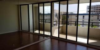 3555 S Ocean Boulevard Gallery 12