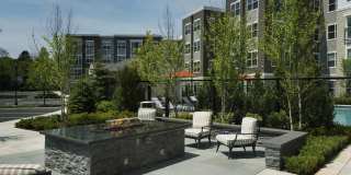 The Landing at Vinnin Square Gallery 29