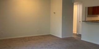 3501 Normandy Lane Gallery 36