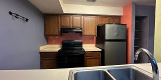 Efficient Living in a Vibrant, Eco-Conscious Setting | Minutes from UCF Efficient Living in a Vibrant, Eco-Conscious Setting | Minutes from UCF Gallery 14