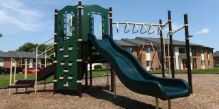 Harvest at Kokomo Gallery 14