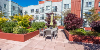 424 North 85th Street, #301 Gallery 26