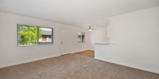Elan Sea Lofts Gallery 7