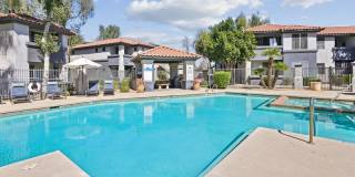 Vista Grove Gallery 1