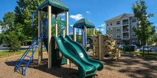 Orchard Park Gallery 19