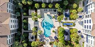 Paseo at Winter Park Village Gallery 6