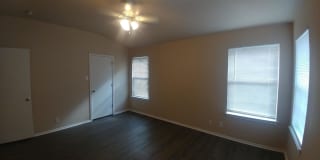 1238 Lion King Gallery 17