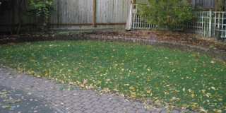 Greenlake House Gallery 15