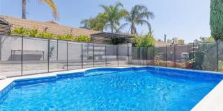 15736 Home Court Gallery 29