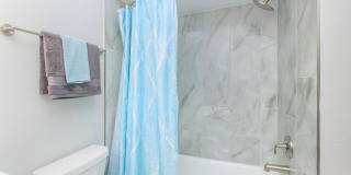 The Julep Gallery 66