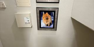 The Abbey at Medical Center Gallery 43