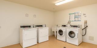 Desert Senior Living Gallery 14