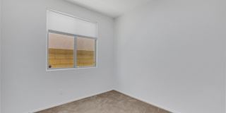 4913 Calabash Tree Court Gallery 15