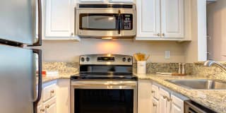 Sofi Berryessa Gallery 12