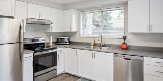 Somerset Terrace Gallery 1