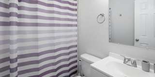 Convenient location! Newly renovated 1 bed, 1 bath apartments! Gallery 11