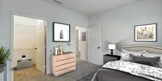 Paradise Island Gallery 22