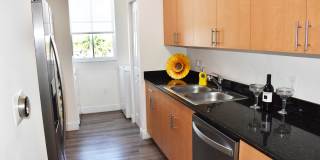 Colony at Dadeland Gallery 15