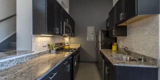 160 East Berkeley Street Gallery 11