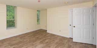 Chestnut Hill East Gallery 39