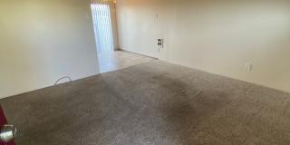1 Bedroom 1 Bathroom at Hollywood Park Apartments Gallery 6