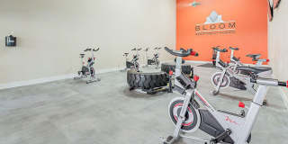 Bloom Apartment Homes Gallery 46