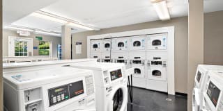 Glen at Bogey Hills Gallery 49