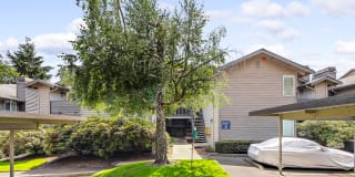 Starboard Apartments Gallery 22