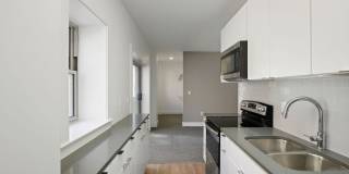 Netherland Gallery 20